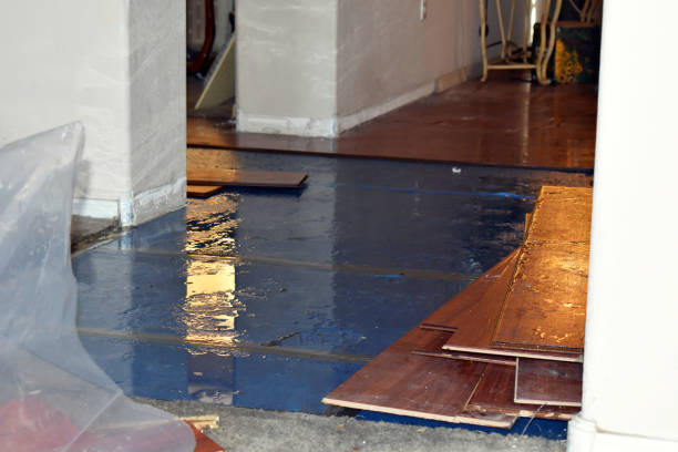Professional Water Damage Restoration technician working in Franktown, CO