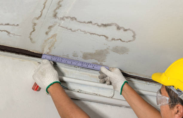Reliable Water Damage Restoration contractor in Franktown, CO by Water Damage Irwin